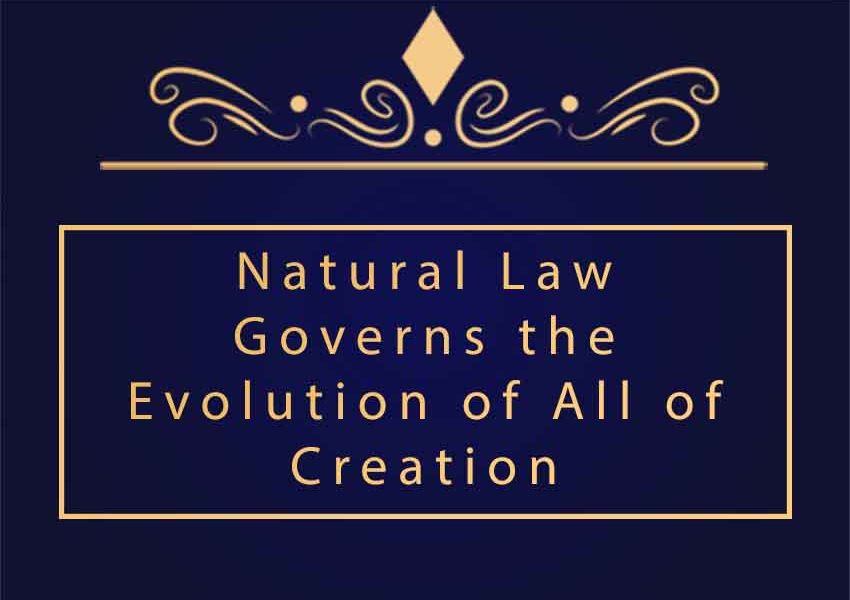 Natural Law